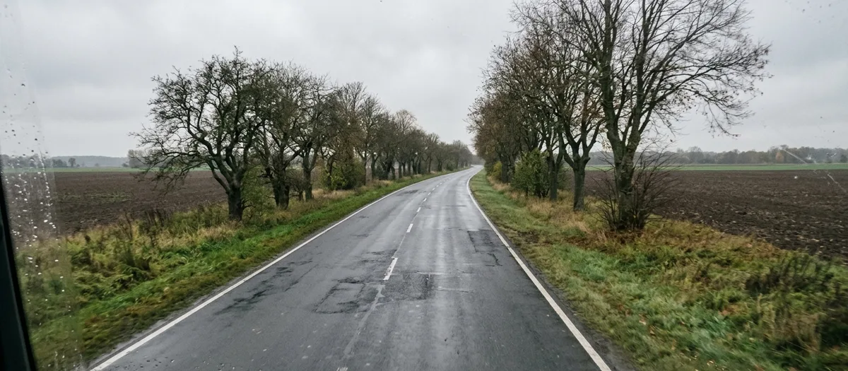 Blick durch die Windschutzscheibe eines Lkw auf eine leere Landstraße mit Baumreihe